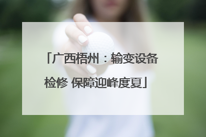广西梧州：输变设备检修 保障迎峰度夏