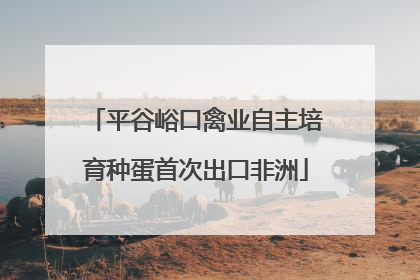 平谷峪口禽业自主培育种蛋首次出口非洲
