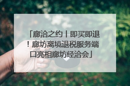 廊洽之约丨即买即退！廊坊离境退税服务端口亮相廊坊经洽会