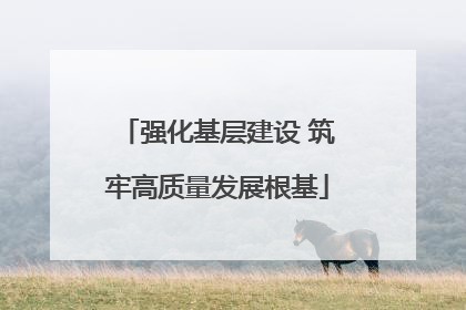 强化基层建设 筑牢高质量发展根基