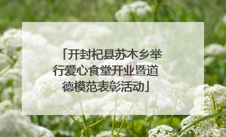 开封杞县苏木乡举行爱心食堂开业暨道德模范表彰活动