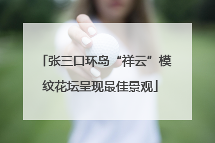 张三口环岛“祥云”模纹花坛呈现最佳景观