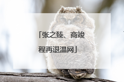 张之臻、商竣程再退温网