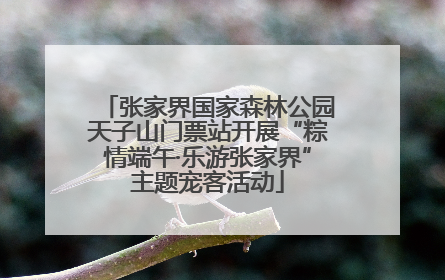 张家界国家森林公园天子山门票站开展“粽情端午·乐游张家界”主题宠客活动
