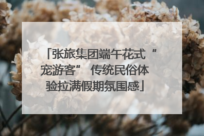 张旅集团端午花式“宠游客” 传统民俗体验拉满假期氛围感