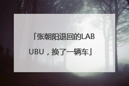 张朝阳退回的LABUBU，换了一辆车