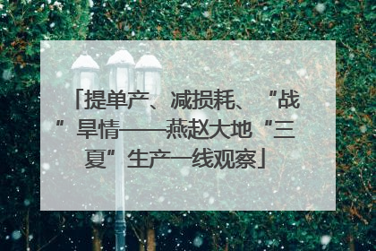 提单产、减损耗、“战”旱情——燕赵大地“三夏”生产一线观察