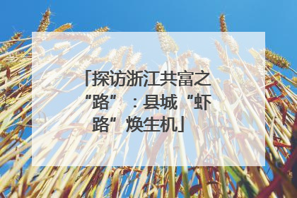 探访浙江共富之“路”：县城“虾路”焕生机