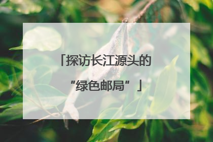 探访长江源头的“绿色邮局”