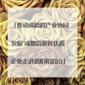 推动成德眉产业协同发展 成都高新区优质企业走进德阳和眉山