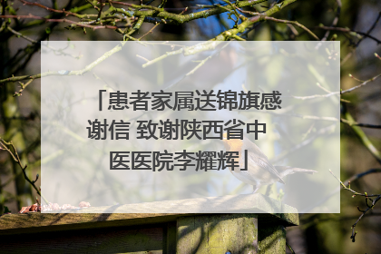 患者家属送锦旗感谢信 致谢陕西省中医医院李耀辉
