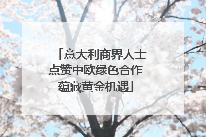 意大利商界人士点赞中欧绿色合作蕴藏黄金机遇