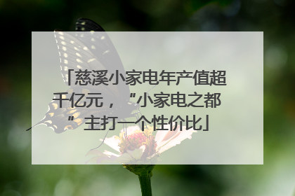 慈溪小家电年产值超千亿元，“小家电之都”主打一个性价比