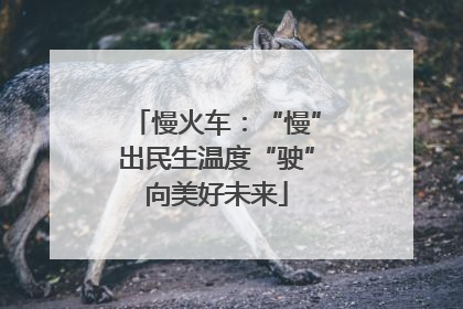 慢火车：“慢”出民生温度“驶”向美好未来