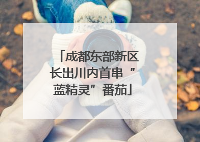 成都东部新区长出川内首串“蓝精灵”番茄