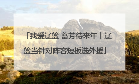 我爱辽篮 蓄芳待来年丨辽篮当针对阵容短板选外援