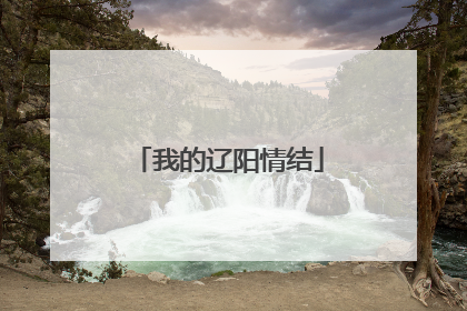 我的辽阳情结