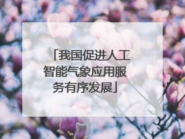 我国促进人工智能气象应用服务有序发展