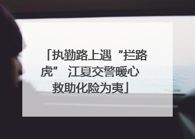 执勤路上遇“拦路虎” 江夏交警暖心救助化险为夷