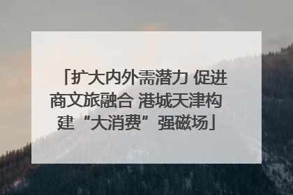 扩大内外需潜力 促进商文旅融合 港城天津构建“大消费”强磁场