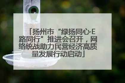 扬州市“绿扬同心·E路同行”推进会召开，网络统战助力民营经济高质量发展行动启动