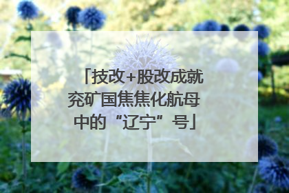 技改+股改成就兖矿国焦焦化航母中的“辽宁”号