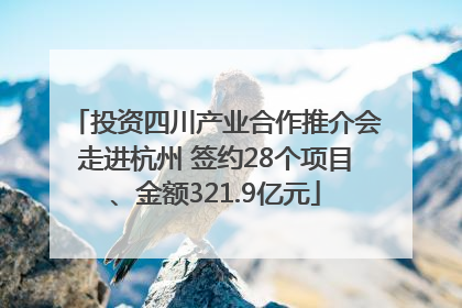 投资四川产业合作推介会走进杭州 签约28个项目、金额321.9亿元