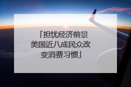担忧经济前景 美国近八成民众改变消费习惯