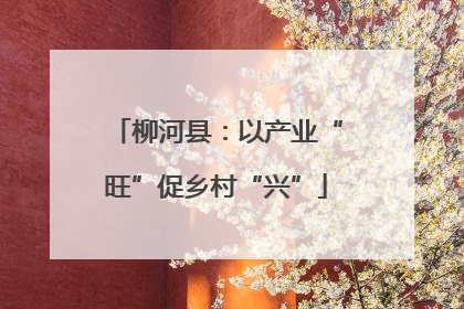 柳河县：以产业“旺”促乡村“兴”