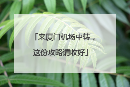 来厦门机场中转，这份攻略请收好