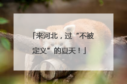 来河北，过“不被定义”的夏天！