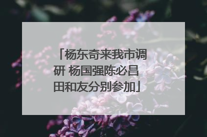 杨东奇来我市调研 杨国强陈必昌田和友分别参加
