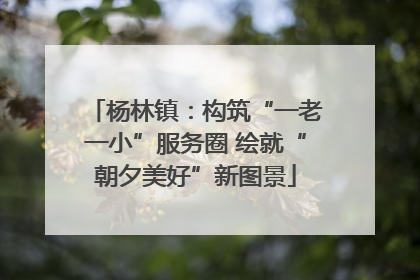 杨林镇：构筑“一老一小”服务圈 绘就“朝夕美好”新图景