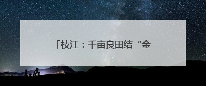 枝江：千亩良田结“金穗”，绿色循环助增收