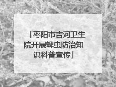 枣阳市吉河卫生院开展蜱虫防治知识科普宣传