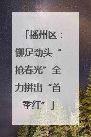 播州区：铆足劲头“抢春光”全力拼出“首季红”