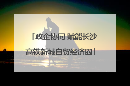 政企协同 赋能长沙高铁新城自贸经济圈