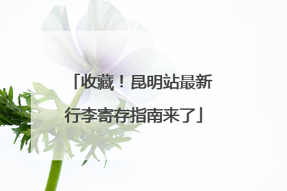 收藏！昆明站最新行李寄存指南来了