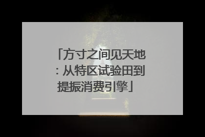 方寸之间见天地：从特区试验田到提振消费引擎