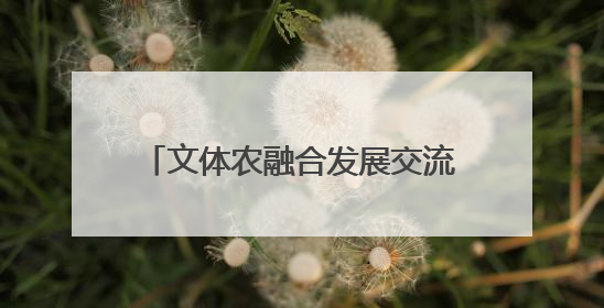 文体农融合发展交流会暨国鉴臻选入驻签约仪式在鹤鸣湖举办