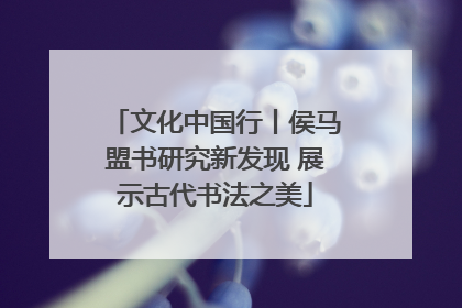 文化中国行丨侯马盟书研究新发现 展示古代书法之美