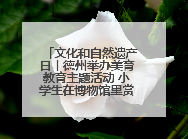 文化和自然遗产日丨德州举办美育教育主题活动 小学生在博物馆里赏文物画文物