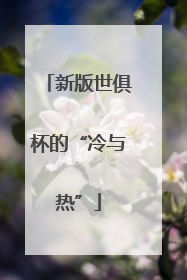 新版世俱杯的“冷与热”