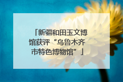 新疆和田玉文博馆获评“乌鲁木齐市特色博物馆”