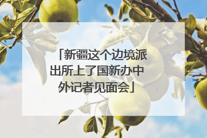 新疆这个边境派出所上了国新办中外记者见面会