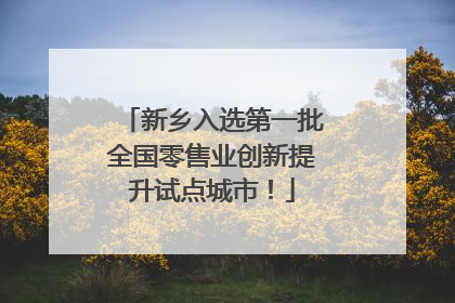 新乡入选第一批全国零售业创新提升试点城市！