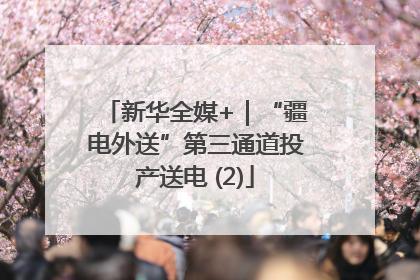 新华全媒+｜“疆电外送”第三通道投产送电 (2)