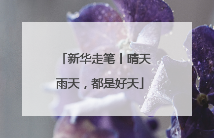 新华走笔丨晴天雨天，都是好天