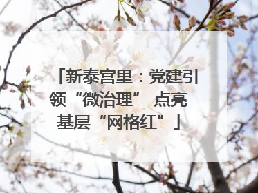 新泰宫里：党建引领“微治理” 点亮基层“网格红”