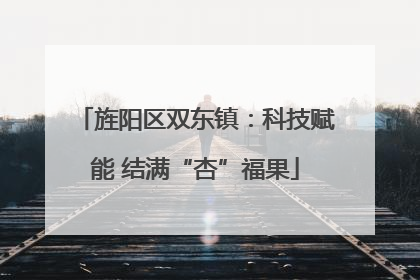 旌阳区双东镇：科技赋能 结满“杏”福果